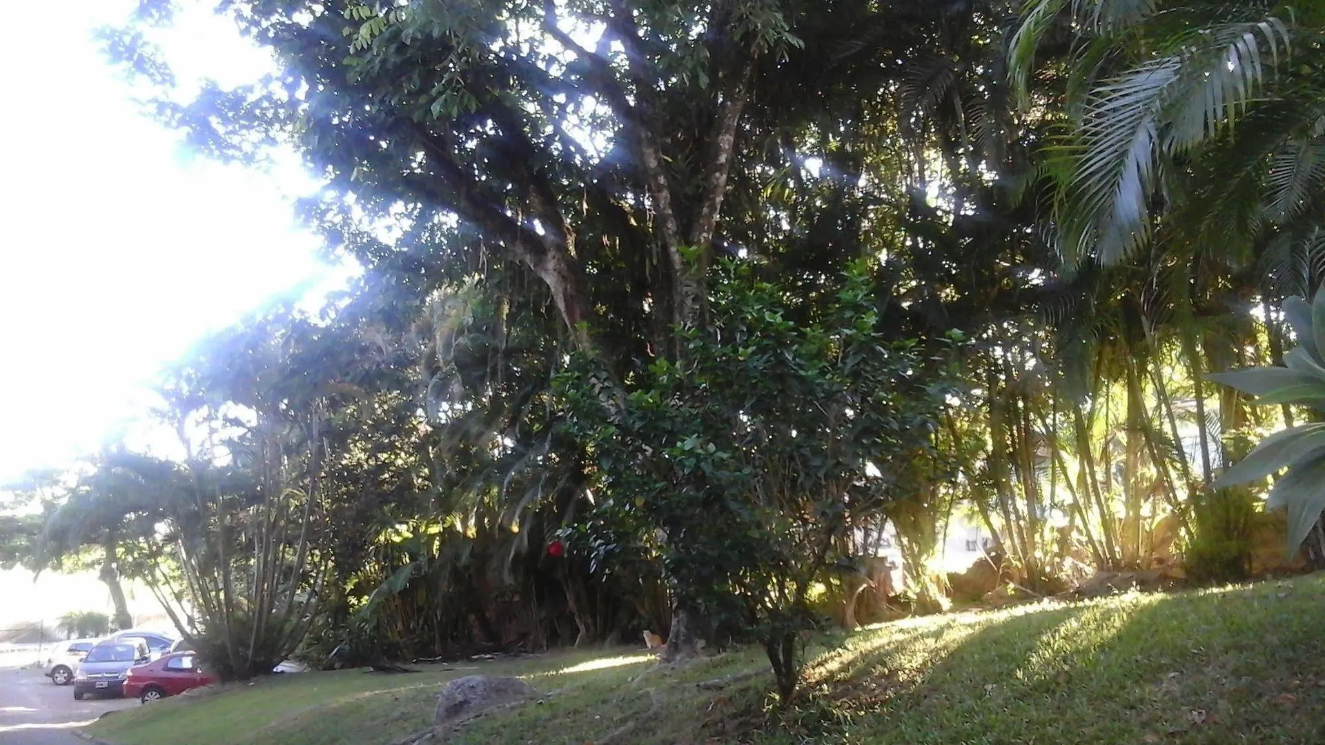Florianópolis Residencial Acores酒店 巴西